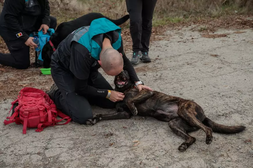 Când cel mai bun prieten al omului îți salvează viața. Cum se pregătesc câinii și voluntarii pentru eventuale catastrofe