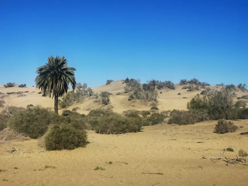 O plajă dintr-o zonă protejată, amenințată de apetitul sexual al turiștilor