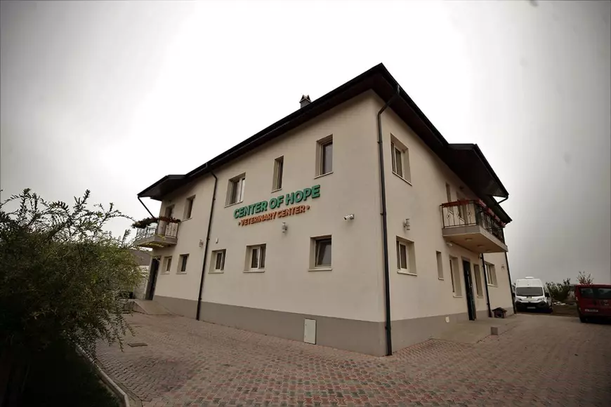 Reportaj de la singurul spital unde animalele fără stăpân au prioritate. „Am tratat și căței prin gard, pentru că ne rugau oamenii aflați în carantină”