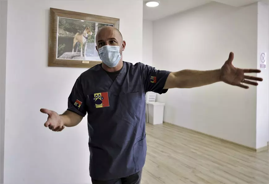 Reportaj de la singurul spital unde animalele fără stăpân au prioritate. „Am tratat și căței prin gard, pentru că ne rugau oamenii aflați în carantină”