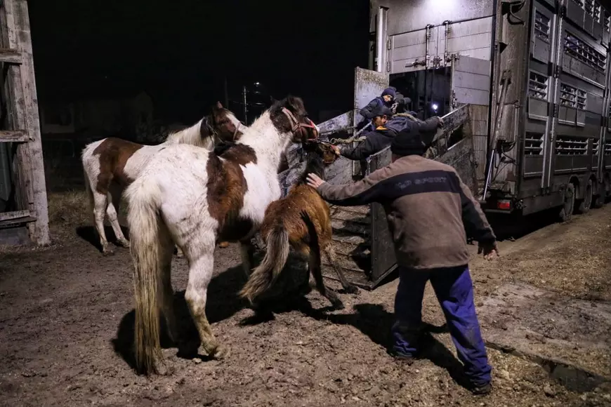 Imagini pe care le vom căuta și în 2022. Preoți cu mult suflet, animale salvate și copii săraci ajutați