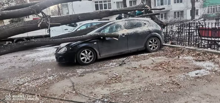 Trei mașini, distruse în Vaslui de un copac doborât de vântul puternic. Rafalele de peste 80 km/h au creat probleme în întregul județ