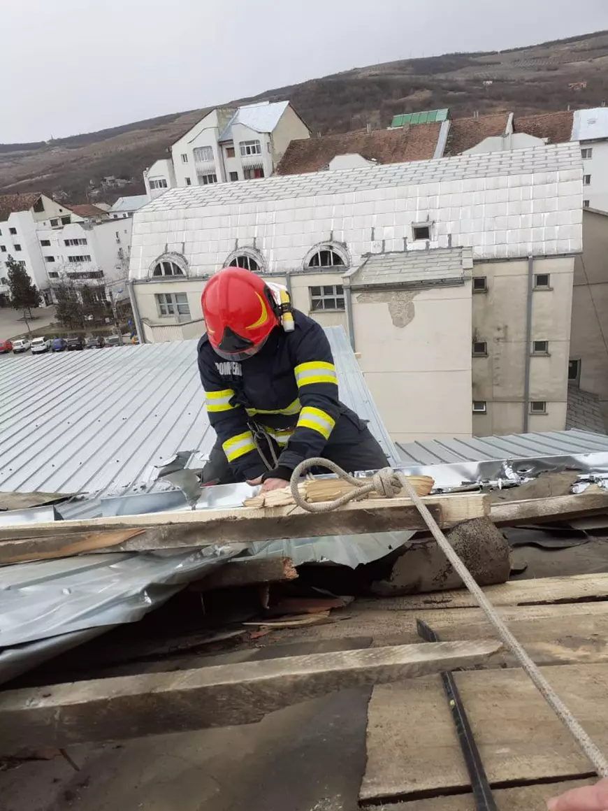 Trei mașini, distruse în Vaslui de un copac doborât de vântul puternic. Rafalele de peste 80 km/h au creat probleme în întregul județ