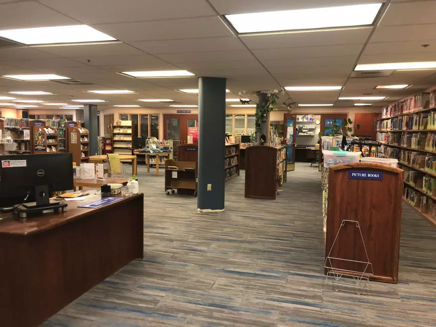 O poveste scrisă și ilustrată de un copil de 8 ani a ajuns cea mai cerută carte la o bibliotecă din SUA