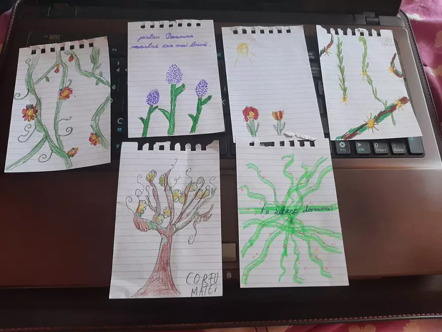 Primul an ca învățătoare navetistă la țară: „Mi-am dorit să văd unde trăiesc elevii mei, cum e drumul lor spre școală”