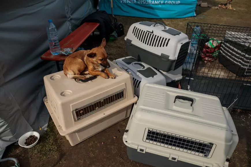 Jurnaliștii Libertatea relatează, față în față, din două tabere de refugiați: ce s-ar întâmpla dacă Rusia nu s-ar retrage din Ucraina, așa cum nu s-a retras de 14 ani din Georgia