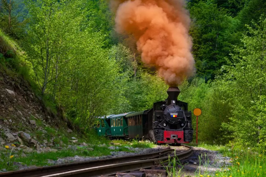 Mocanita de pe Valea Vaserului