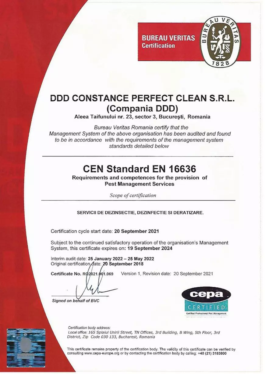 Scapă de problema dăunătorilor cu ajutorul Companiei DDD – certificată CEPA