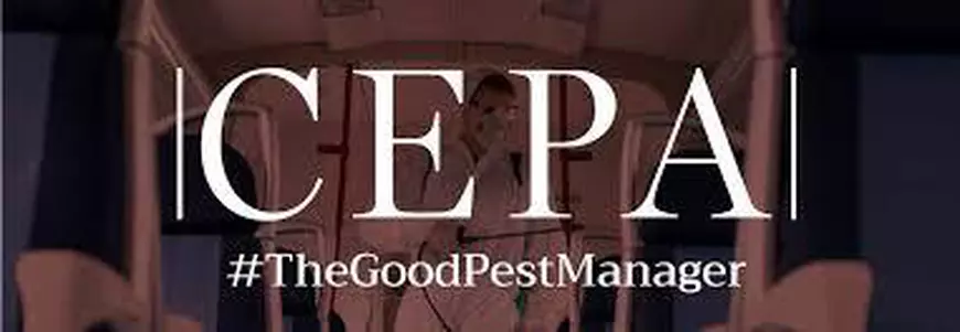 Scapă de problema dăunătorilor cu ajutorul Companiei DDD – certificată CEPA