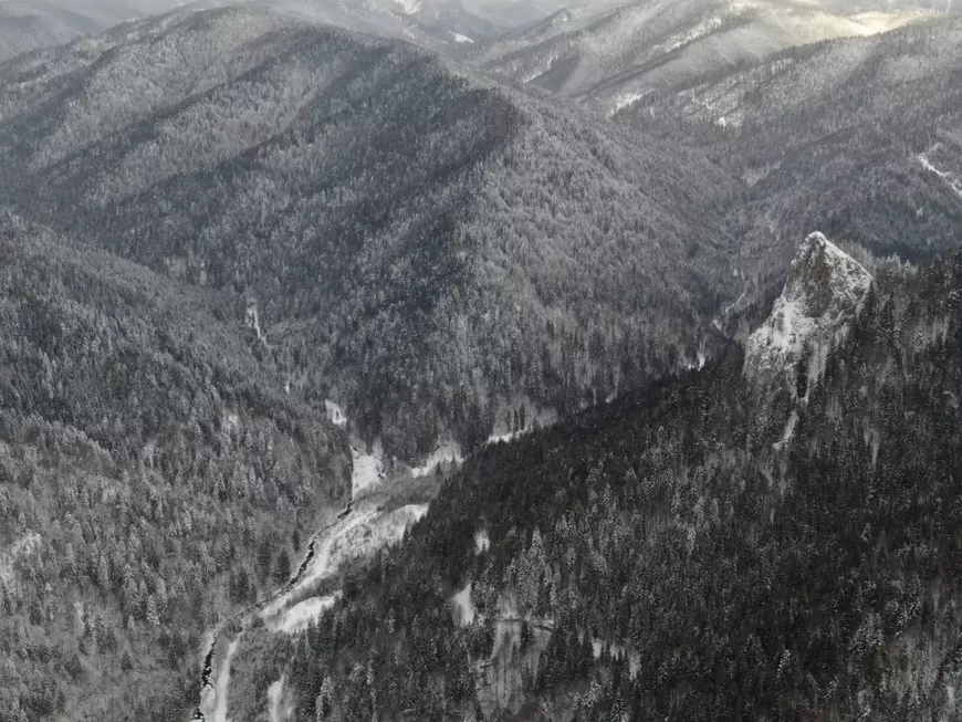 Cât de mari sunt minciunile cu care a fost promovată legea ce ar urma să distrugă o parte din ariile naturale protejate