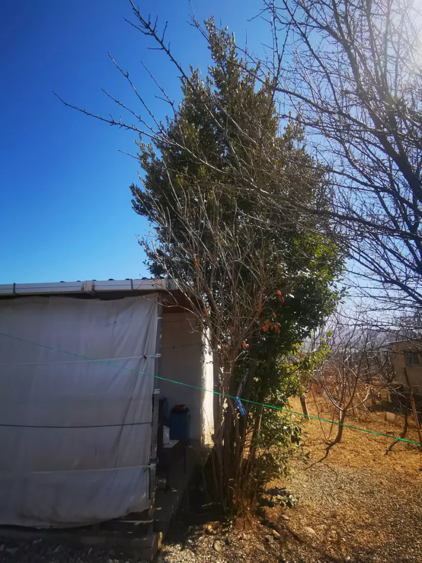 Corespondență din Georgia: Țarii trec, oamenii rămân. „Lui Putin nu-i place ca oamenii să trăiască bine, vrea să fie el singurul care deține controlul”