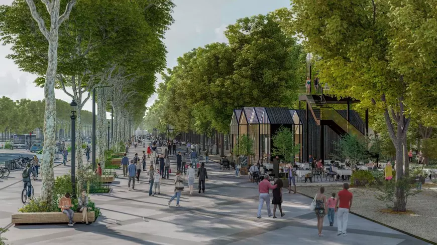 Cum va arăta Champs-Elysées în doi ani. Vor să planteze arbori pe 1,5 hectare din centrul orașului