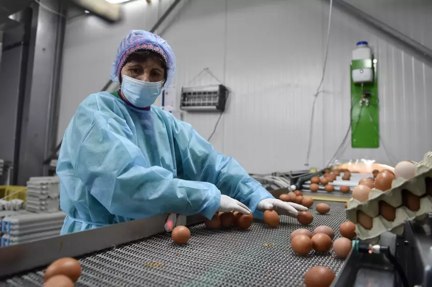 INTERVIU. Profesorul român din SUA care dărâmă mitul dezindustrializării: „România este între Danemarca și Israel. Suntem într-o conjunctură foarte bună”