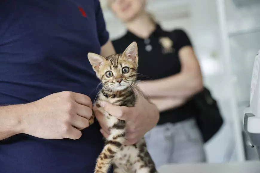 „Unii mă condamnă că mi-am salvat câinele, dar mi-am abandonat mama”. Povestea ucrainenilor care și-au scos animalele din mijlocul bombardamentelor