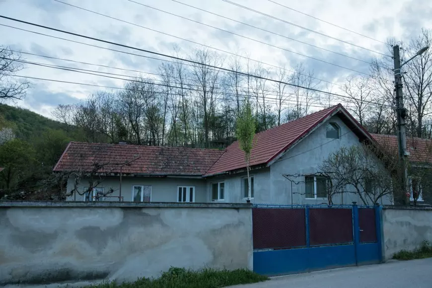 REPORTAJ. „Armindenul” lui Nea Dumitru, obicei vechi de când satele din Țara Hațegului. De ce se pune mesteacăn la poartă de 1 mai