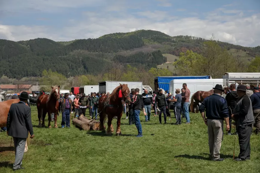 Cai „la preț de Ferrari”, covoare și adidași la 10 lei, la cel mai mare târg de 1 mai din vestul țării. „Numa’ ptinguini nu găsîț aici”