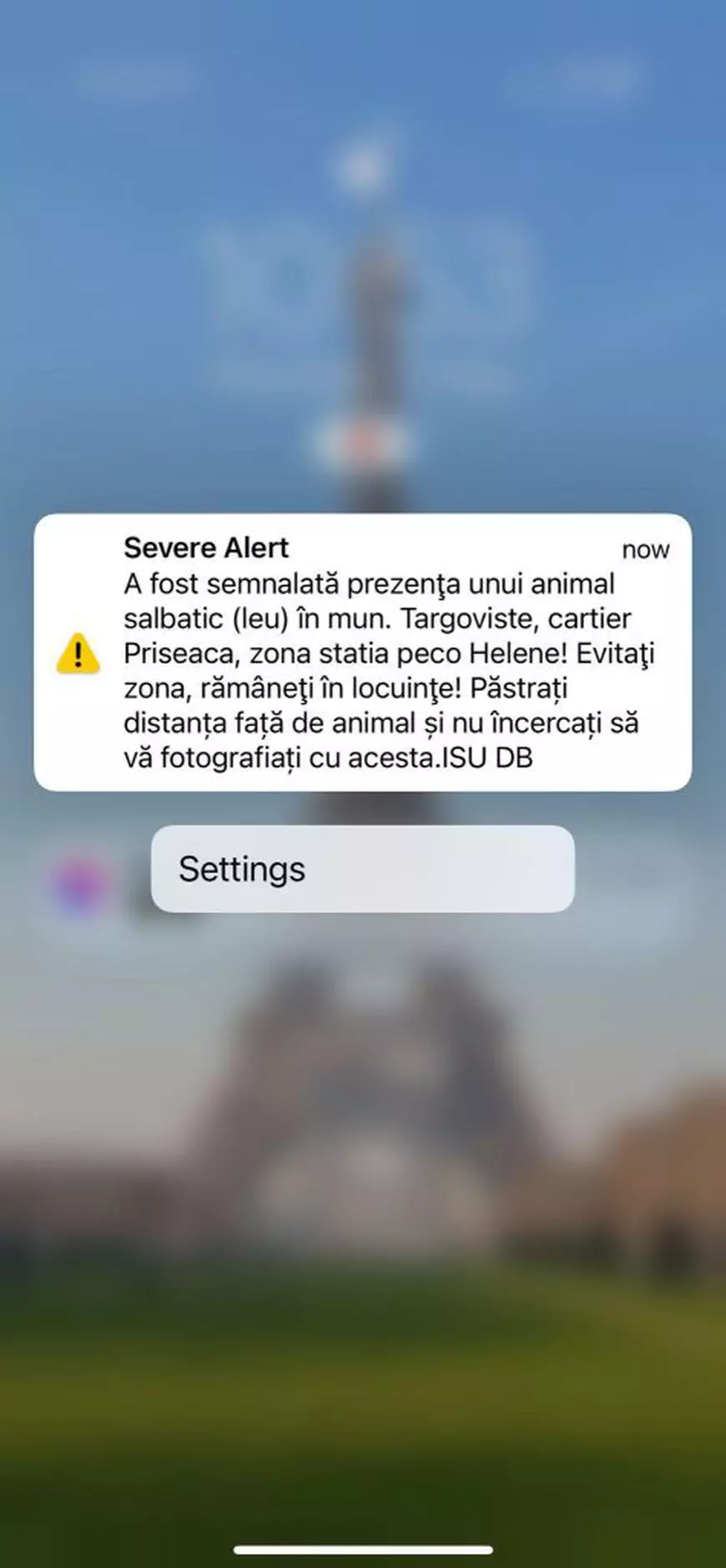 UPDATE | Leul de la Târgoviște nu a fost găsit. Autoritățile au oprit căutările după aproximativ 6 ore