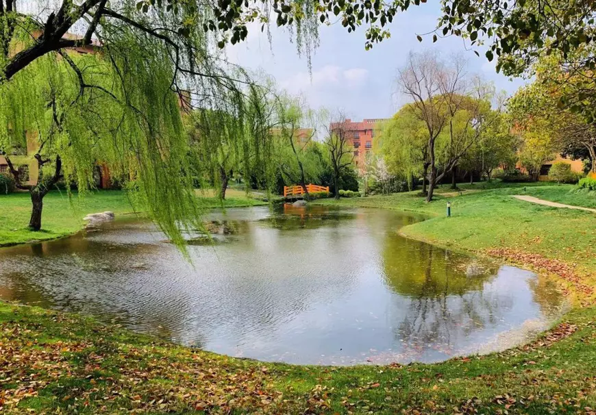 Exclusiv | 55 zile de izolare în Shanghai. Viața unui român în orașul în care oamenii cu Covid sunt luați din stradă și trimiși în centre de carantinare