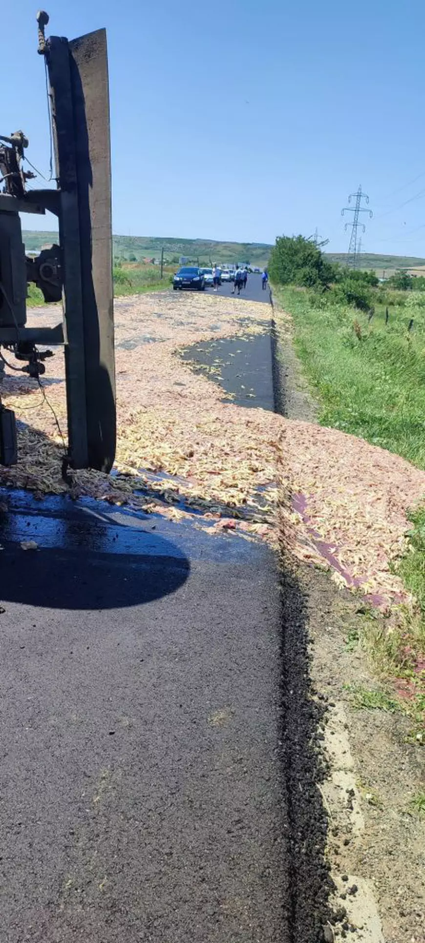 Cinci tone de măruntaie de pui s-au împrăștiat pe o șosea din Vaslui, după ce un TIR s-a răsturnat. Șoferul avea o alcoolemie de 0,96 la mie