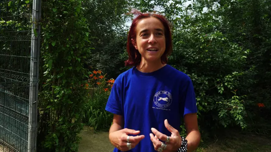 Acasă la motanul Putin şi câinele Zelenski. 30 de animale salvate din Ucraina şi-au găsit salvarea la un adăpost din Cernavodă