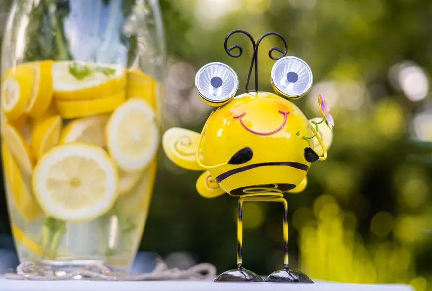 VIVA! Party 2022. VIVA la VIDA! Imagini din culisele celei mai mari petreceri a anului