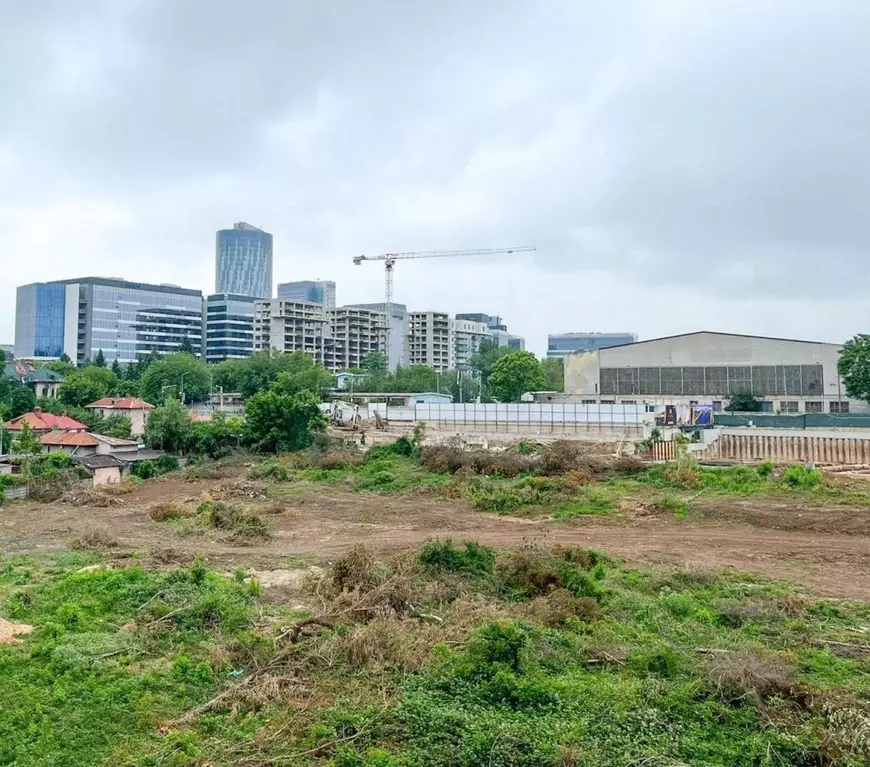 Cum au organizat fazanii rezistența în fața defrișărilor ilegale de pe un teren din nordul Bucureștiului, unde fugarul Popoviciu vrea să facă blocuri