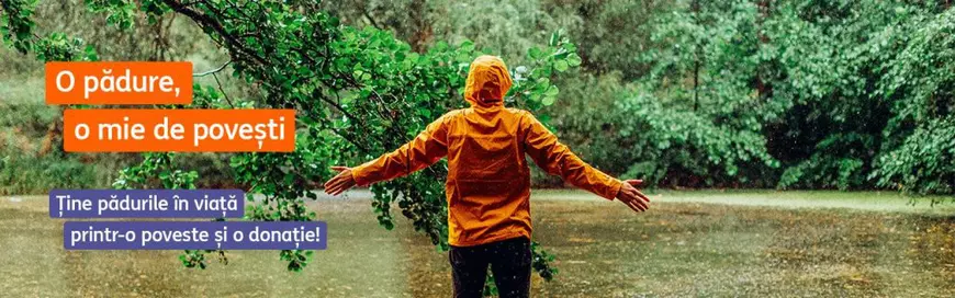 ING Bank și Fundația Conservation Carpathia îi încurajează pe români să facă parte din povestea reconstrucției ecologice din zona Munților Făgăraș. Află cum te poți implica și tu