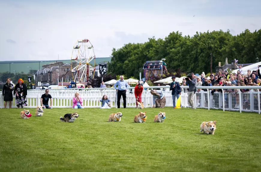 Cum au petrecut britanicii Jubileul de Platină al reginei Elisabeta a II-a - parade, petreceri stradale și curse de câini Corgi