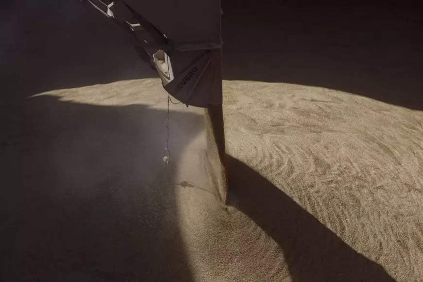 REPORTAJ de pe frontul cerealelor. Cum se exportă producția României și a Ucrainei printr-o investiție imensă