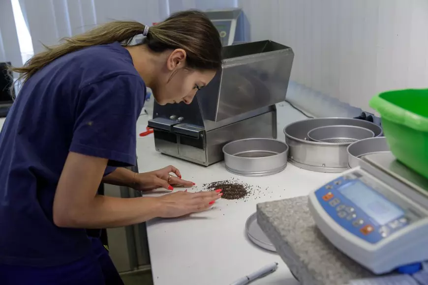 REPORTAJ de pe frontul cerealelor. Cum se exportă producția României și a Ucrainei printr-o investiție imensă