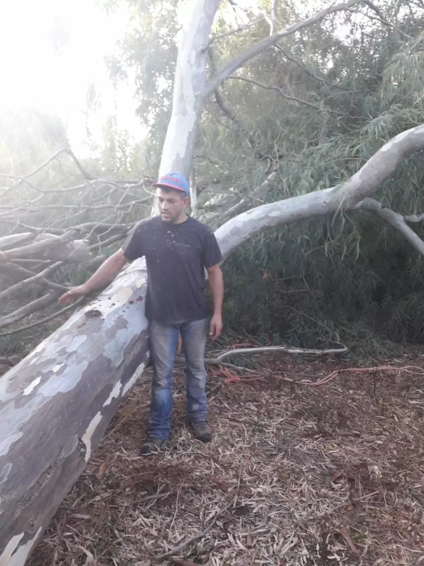 Un român a plecat cioban în Sardinia și a ajuns boxer profesionist. „Aici m-am destupat la minte”