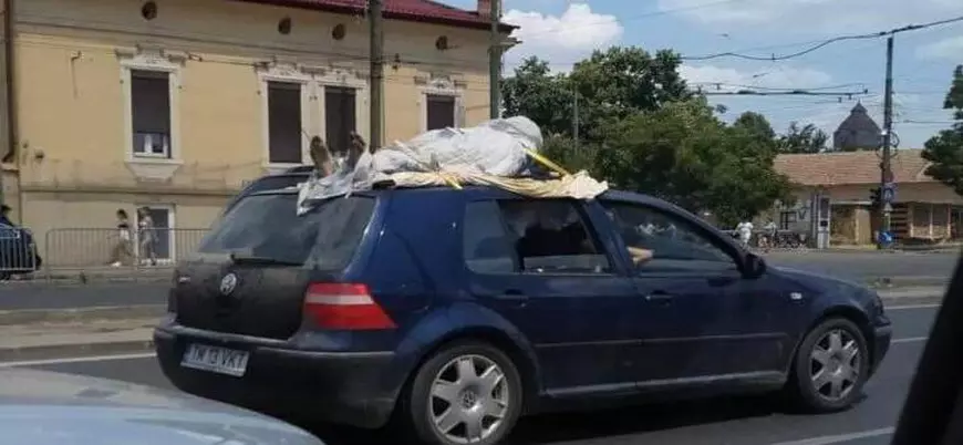 Şoferii din Timişoara au sunat la 112, după ce au văzut în trafic un „cadavru” legat de plafonul unei mașini. Ce au descoperit polițiștii