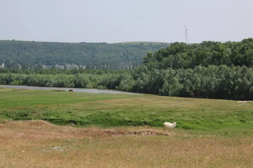 REPORTAJ. Cum arată de la fața locului dezastrul de la Islaz, unde au ars aproape 700 de hectare din „Delta Teleormanului"