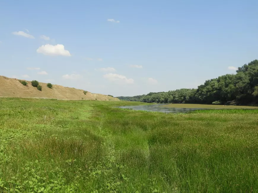 REPORTAJ. Cum arată de la fața locului dezastrul de la Islaz, unde au ars aproape 700 de hectare din „Delta Teleormanului"