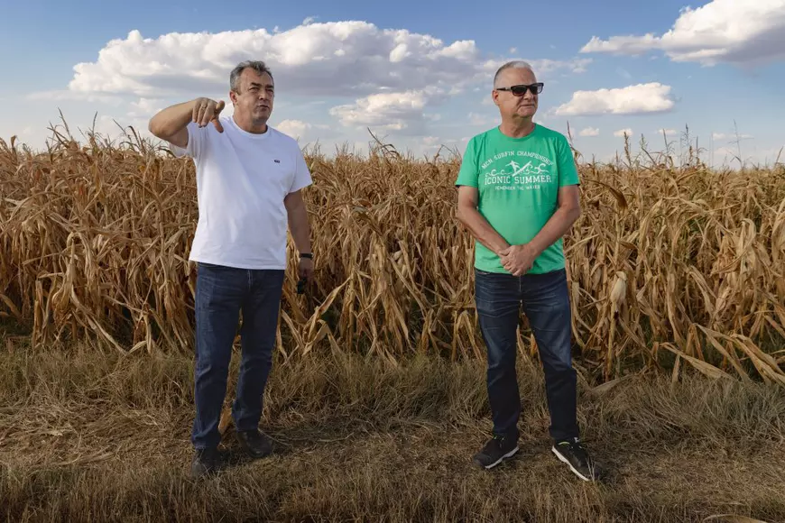 REPORTAJ. Cum arată de la fața locului dezastrul de la Islaz, unde au ars aproape 700 de hectare din „Delta Teleormanului"