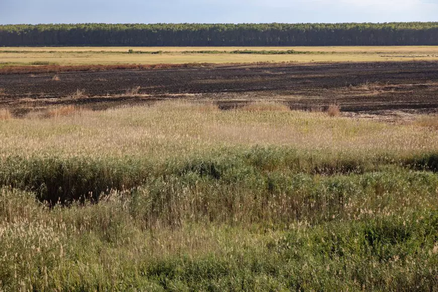 REPORTAJ. Cum arată de la fața locului dezastrul de la Islaz, unde au ars aproape 700 de hectare din „Delta Teleormanului"