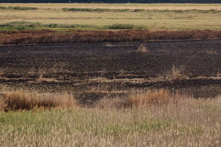 REPORTAJ. Cum arată de la fața locului dezastrul de la Islaz, unde au ars aproape 700 de hectare din „Delta Teleormanului"