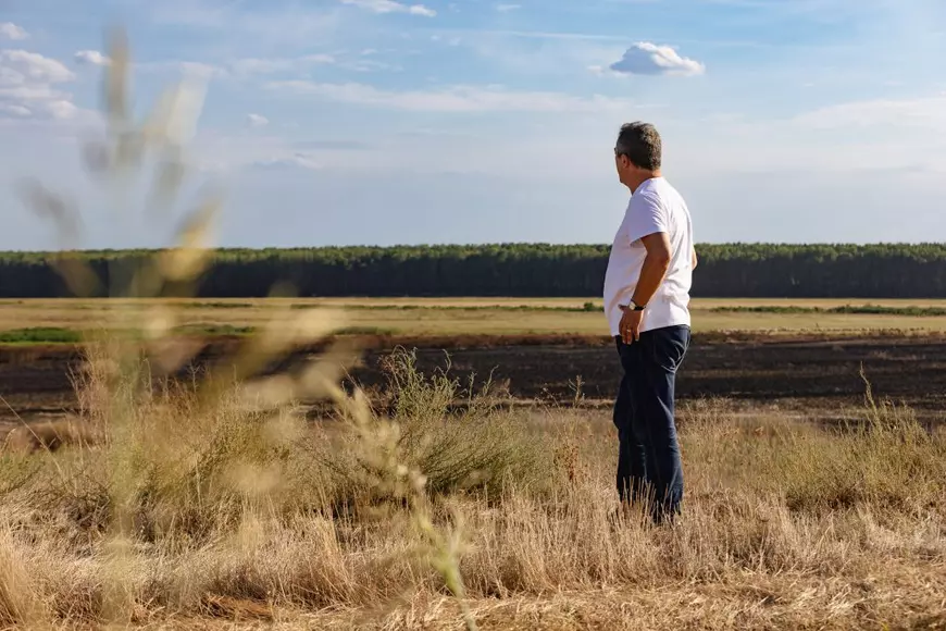 REPORTAJ. Cum arată de la fața locului dezastrul de la Islaz, unde au ars aproape 700 de hectare din „Delta Teleormanului"