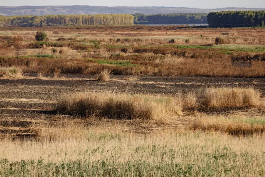 REPORTAJ. Cum arată de la fața locului dezastrul de la Islaz, unde au ars aproape 700 de hectare din „Delta Teleormanului"