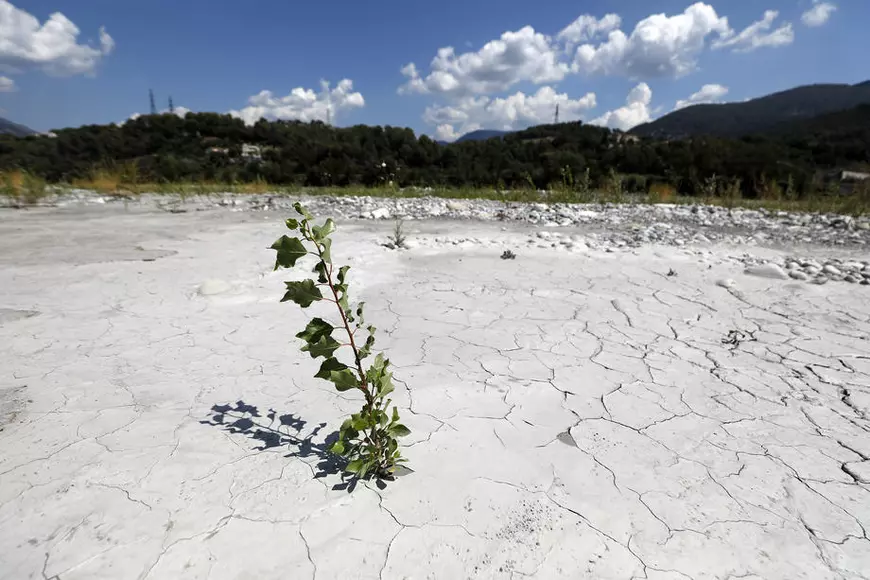 Imaginile secetei care afectează Europa. Râuri secate și culturi agricole compromise