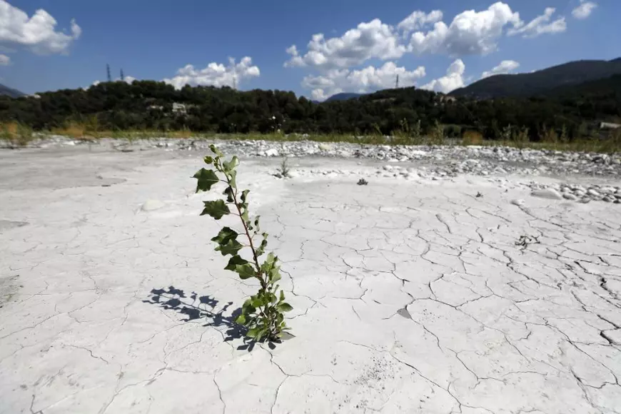 Harta secetei în Europa. „Situația este critică”, iar prognoza pentru august și septembrie adaugă noi îngrijorări