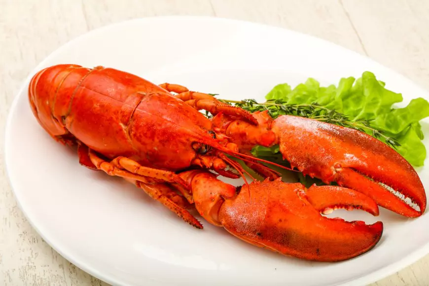 În timp ce AUR vrea să interzică insectele în alimentație, specialiștii recomandă să înlocuim carnea cu ele: „Sunt o sursă mai sustenabilă de proteine”