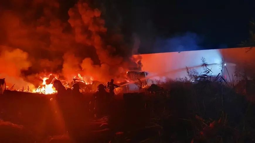 Incendiu puternic lângă Capitală. A luat foc un depozit de mase plastice din Pantelimon