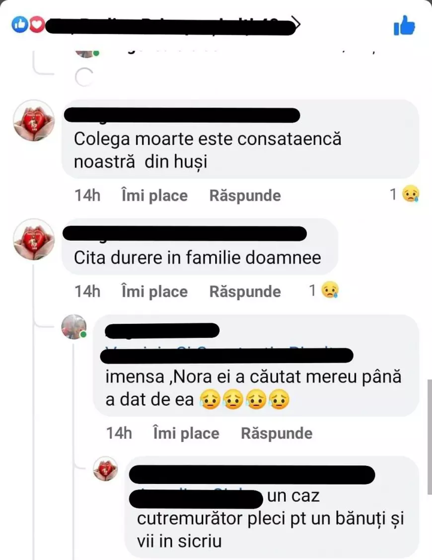 Încă o îngrijitoare româncă în Austria a murit pe șosele. Riscurile transportului impus de firmele de intermediere românilor care fac „naveta” în Europa