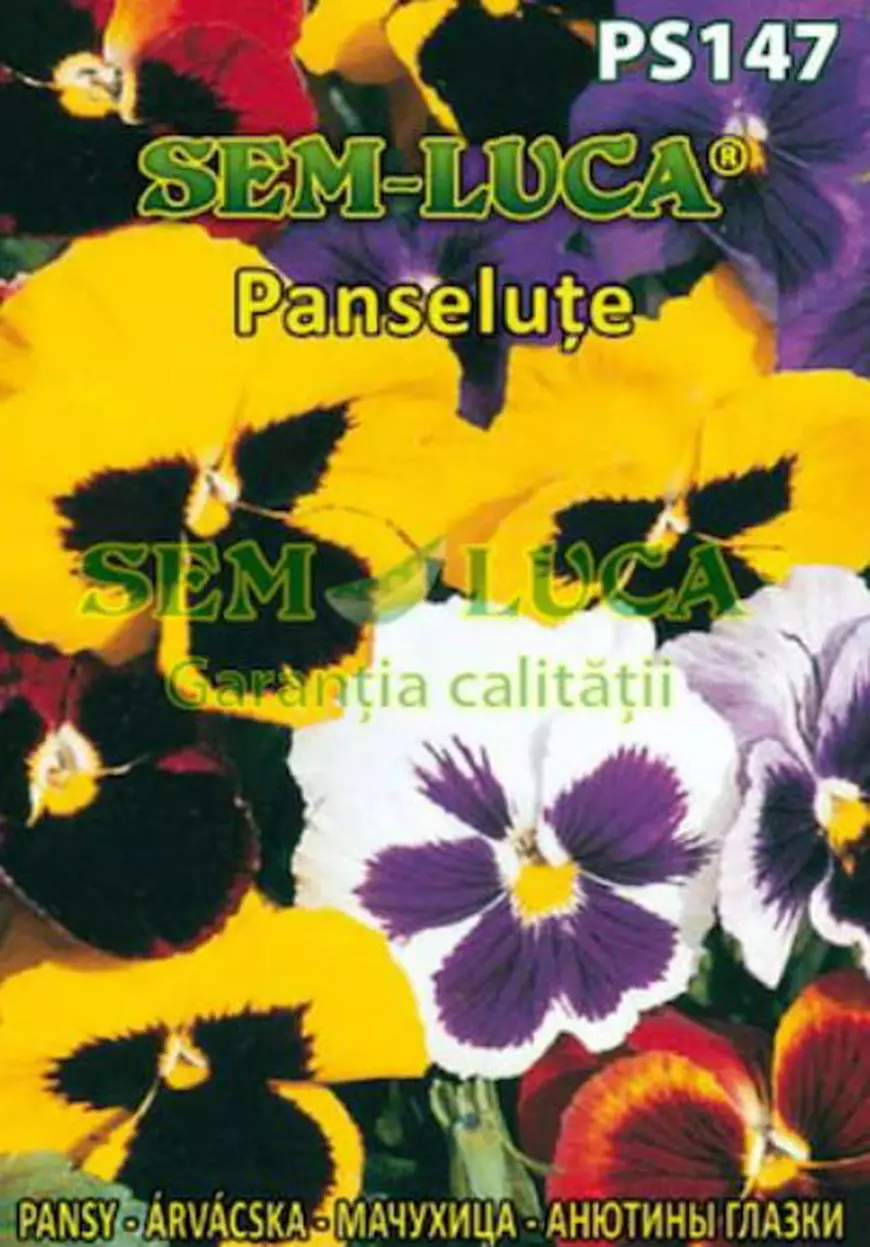 Semințe de panseluțe