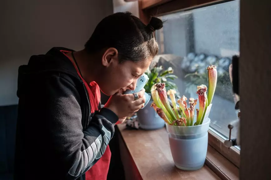 REPORTAJ din diaspora. Ultimul salariu pe care l-a câștigat ca profă în România a fost de 1.200 de lei, iar primul salariu ca femeie de serviciu în Danemarca a fost de 2.000 de euro. Acum e profesoară în cel mai nordic oraș danez