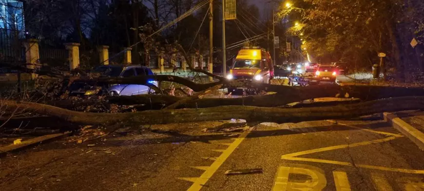 Un bărbat a fost prins sub un copac care a căzut în apropierea sediului Jandarmeriei Române