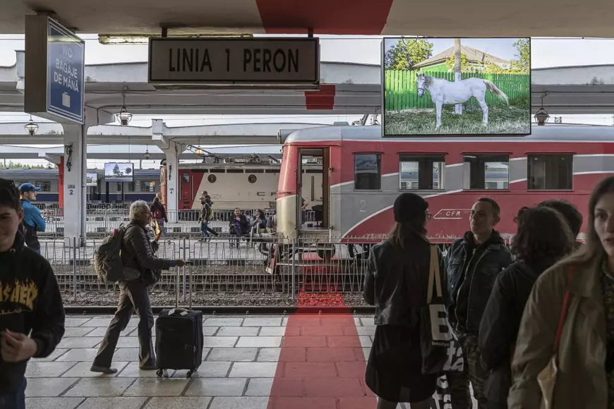 Frontiere ferme, nevoi comune în România, Moldova și Ucraina. Expoziția care arată cum „linia NATO definește siguranța și lipsa ei”
