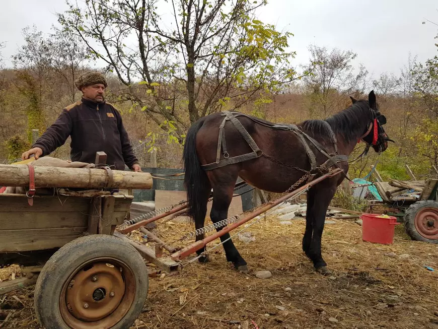 Ce rol au jucat sătenii dintr-o comună prahoveană în prinderea violatorului celor două surori: „Mă interesa să-mi recuperez de la el banii furați”