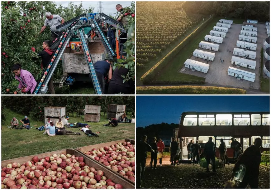 Mesaj pentru românii din străinătate: avem nevoie de ajutorul vostru